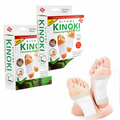 Parches desintoxicantes KINOKI 2 CAJASX1   total 20 parches